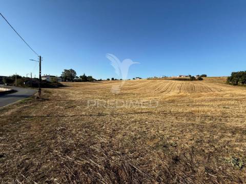 Oportunidade única! moradia t3 para restaurar com terreno - nabais -santarém