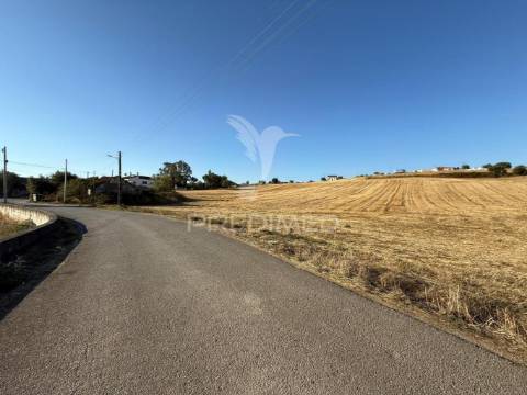 Oportunidade única! moradia t3 para restaurar com terreno - nabais -santarém