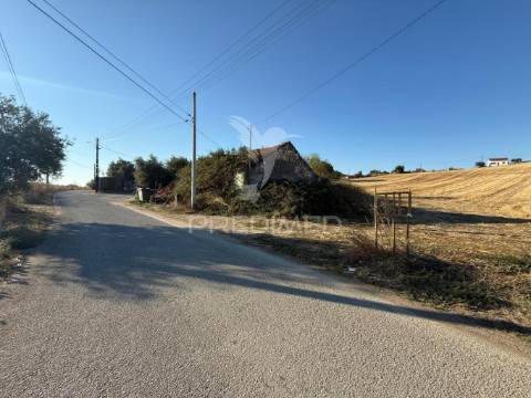 Oportunidade única! moradia t3 para restaurar com terreno - nabais -santarém