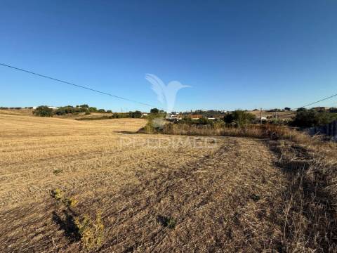 Oportunidade única! moradia t3 para restaurar com terreno - nabais -santarém