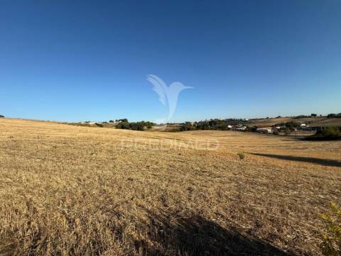 Oportunidade única! moradia t3 para restaurar com terreno - nabais -santarém