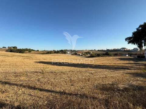 Oportunidade única! moradia t3 para restaurar com terreno - nabais -santarém