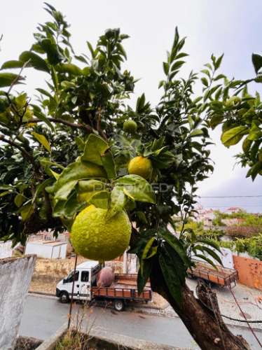 Investimento em tolosa