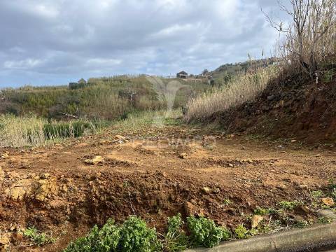 Terreno plano na santa do porto moniz vista mar.