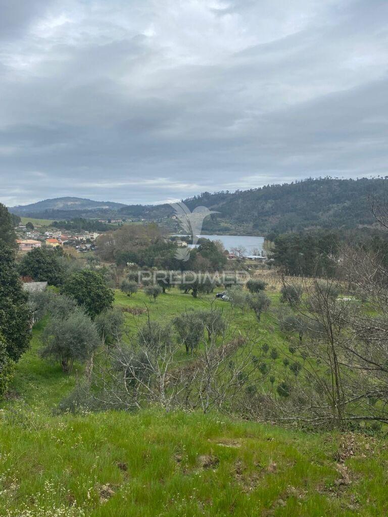 Vende quinta com 5 hectares junto ao rio dão