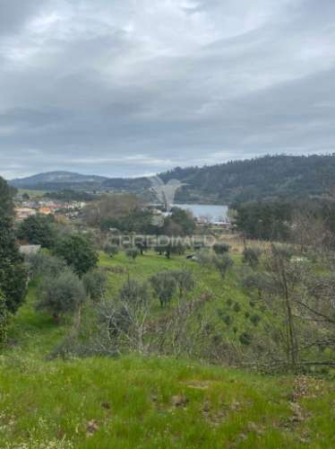 Vende quinta com 5 hectares junto ao rio dão