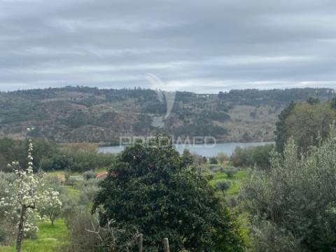 Vende quinta com 5 hectares junto ao rio dão