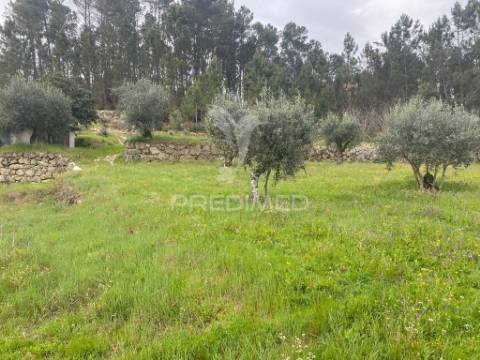 Vende quinta com 5 hectares junto ao rio dão