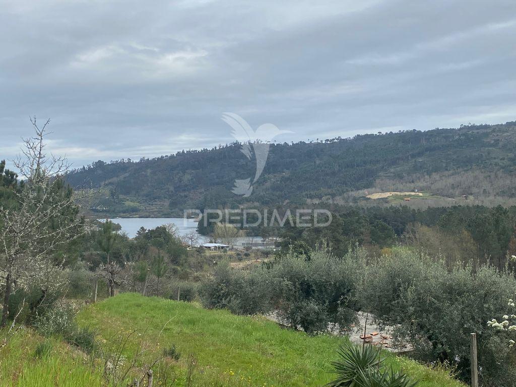 Vende quinta com 5 hectares junto ao rio dão