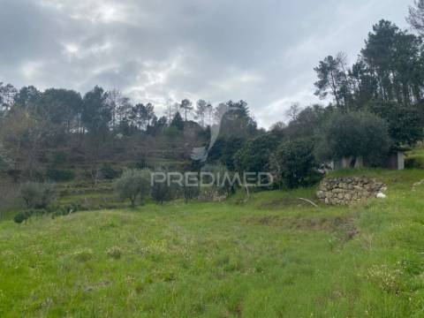 Vende quinta com 5 hectares junto ao rio dão