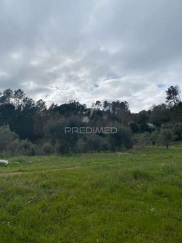 Vende quinta com 5 hectares junto ao rio dão