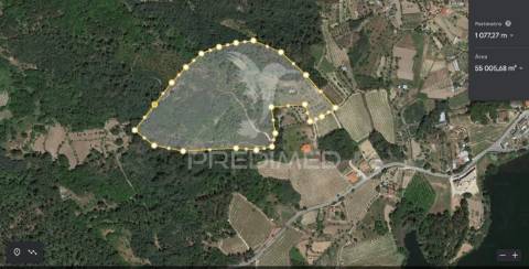 Vende quinta com 5 hectares junto ao rio dão
