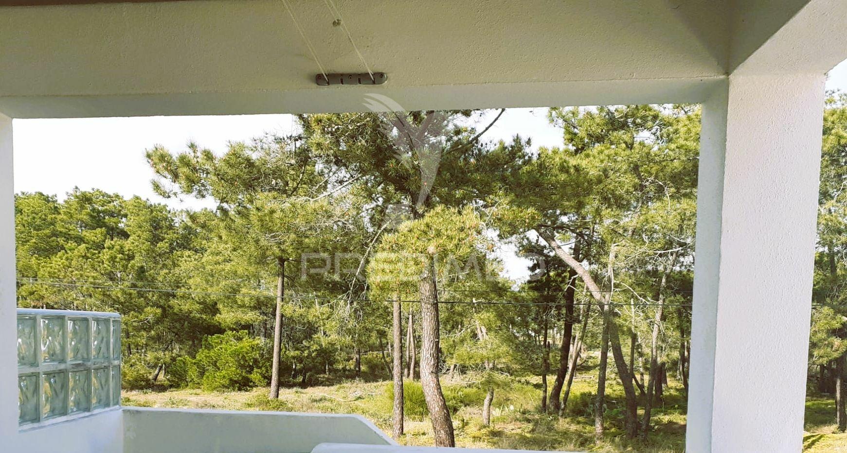 Algarve - faro moradia  t5  isolada  jardim  bbq e piscina