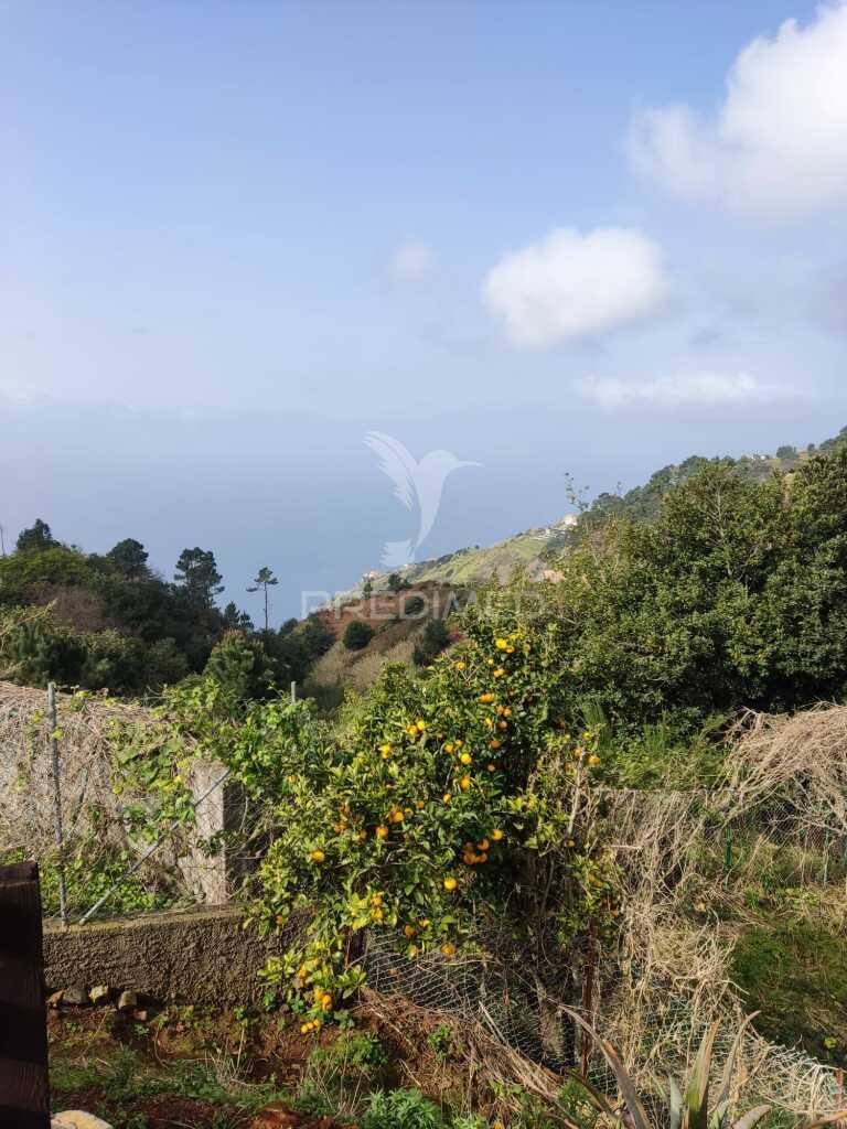 Moradia em ruína para venda em fajã da ovelha, ilha da madeira