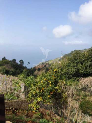 Moradia em ruína para venda em fajã da ovelha, ilha da madeira