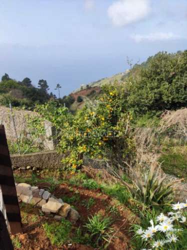 Moradia em ruína para venda em fajã da ovelha, ilha da madeira