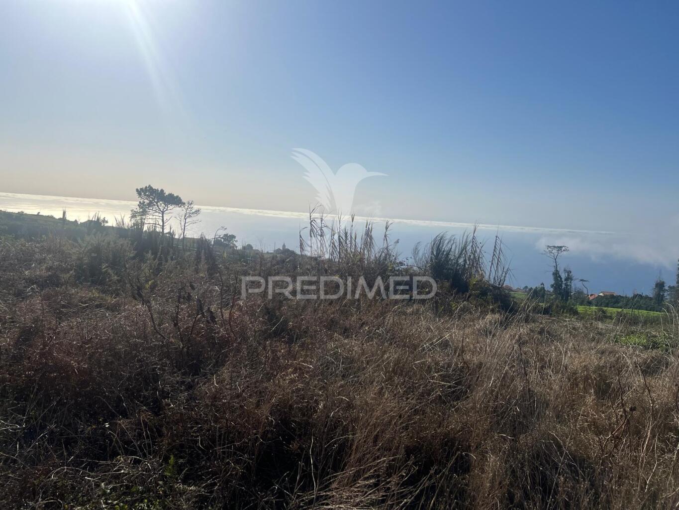 Moradia em ruinas e terreno (1.500m2) plano e vista mar na  ponta do pargo perto do campo de golfe