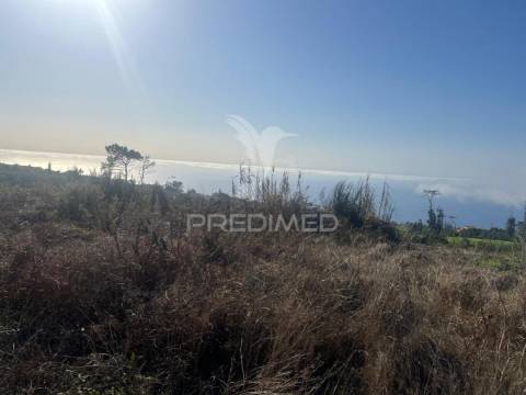 Moradia em ruinas e terreno (1.500m2) plano e vista mar na  ponta do pargo perto do campo de golfe
