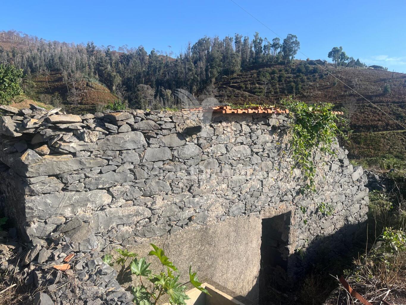 Moradia em ruinas e terreno (1.500m2) plano e vista mar na  ponta do pargo perto do campo de golfe