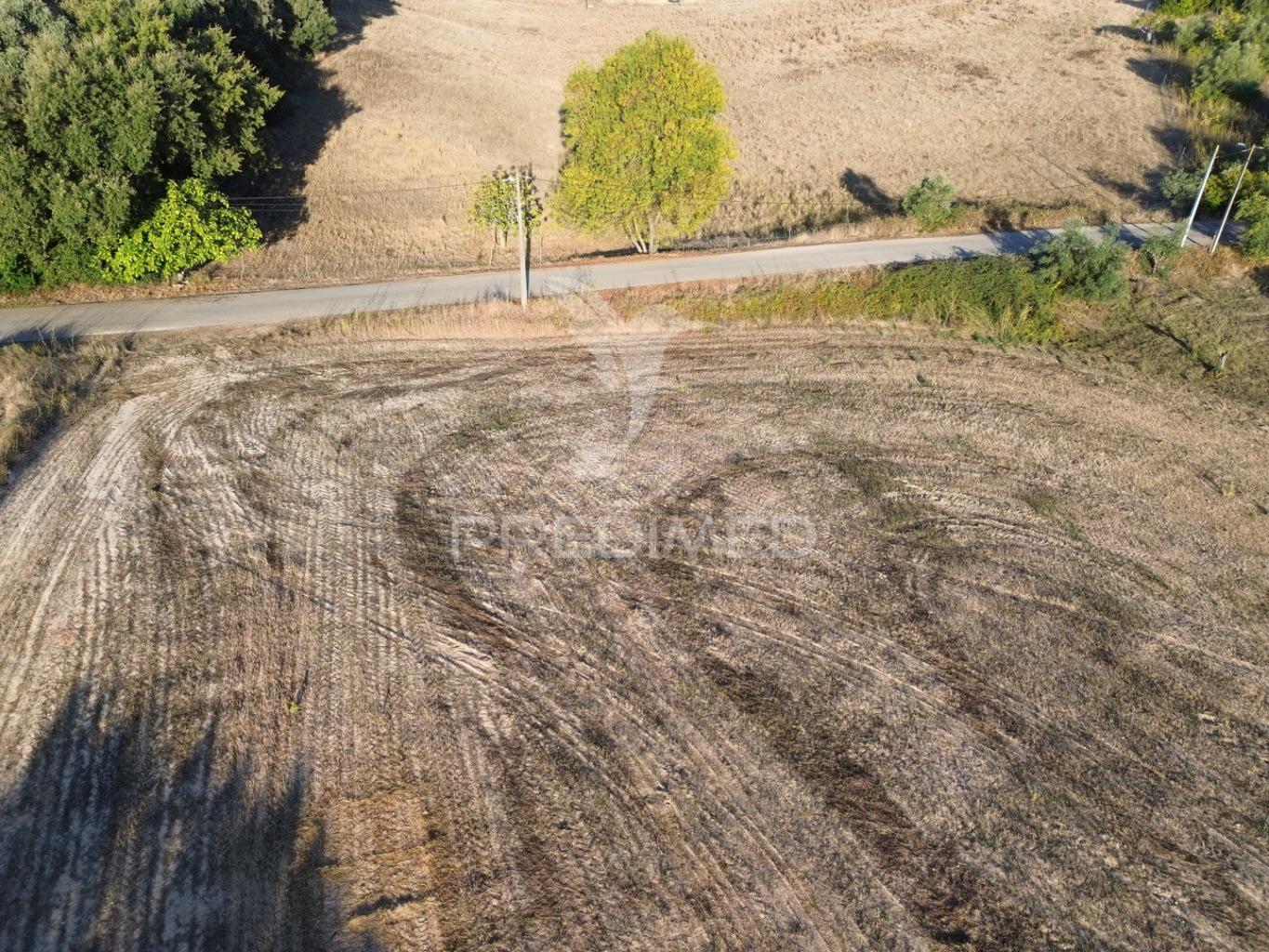 Terreno rústico em nabais – santarém | 10.800 m²