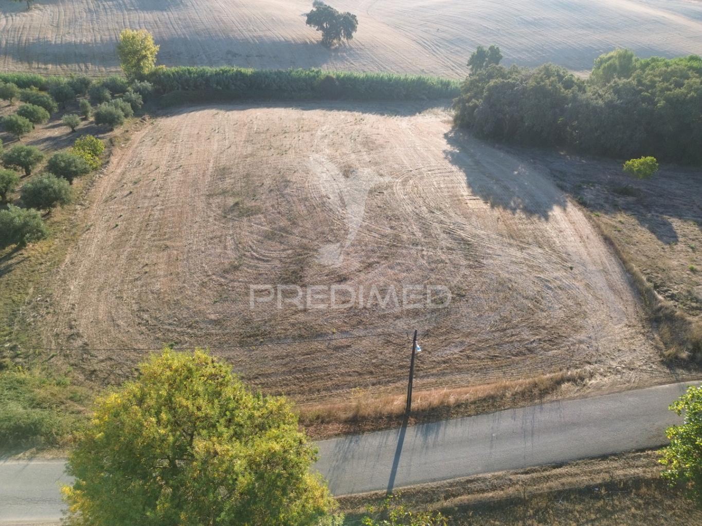 Terreno rústico em nabais – santarém | 10.800 m²