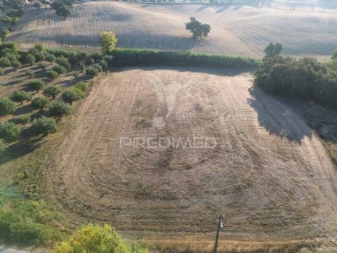 Terreno rústico em nabais – santarém | 10.800 m²