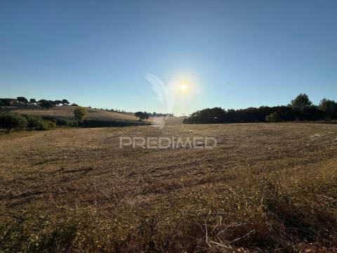 Terreno rústico em nabais – santarém | 10.800 m²