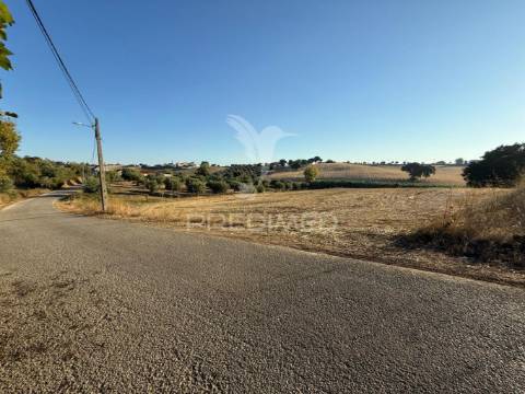 Terreno rústico em nabais – santarém | 10.800 m²