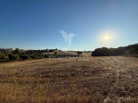 Terreno rústico em nabais – santarém | 10.800 m²
