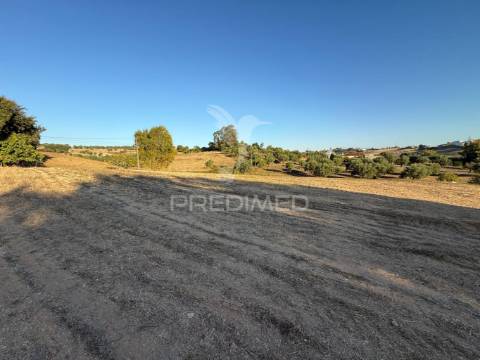 Terreno rústico em nabais – santarém | 10.800 m²