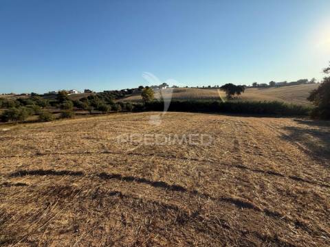 Terreno rústico em nabais – santarém | 10.800 m²