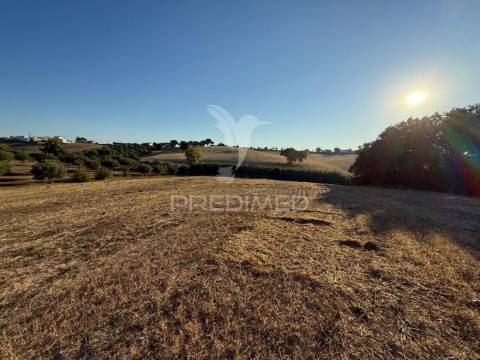 Terreno rústico em nabais – santarém | 10.800 m²