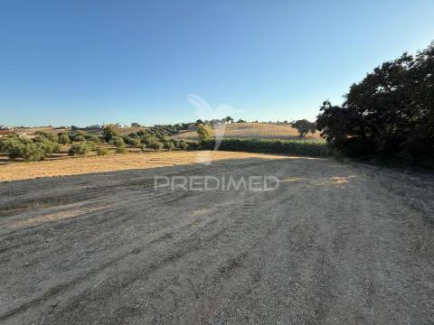 Terreno rústico em nabais – santarém | 10.800 m²