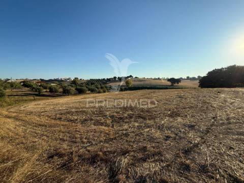 Terreno rústico em nabais – santarém | 10.800 m²