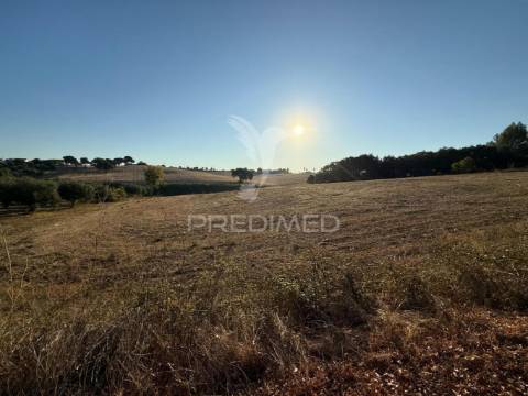 Terreno rústico em nabais – santarém | 10.800 m²