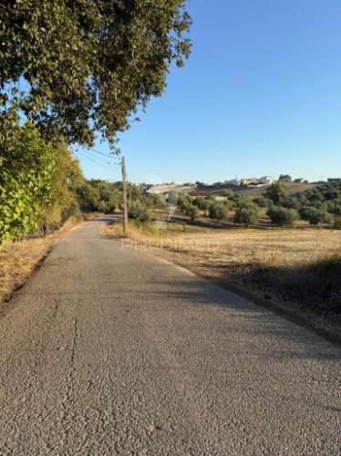 Terreno rústico em nabais – santarém | 10.800 m²