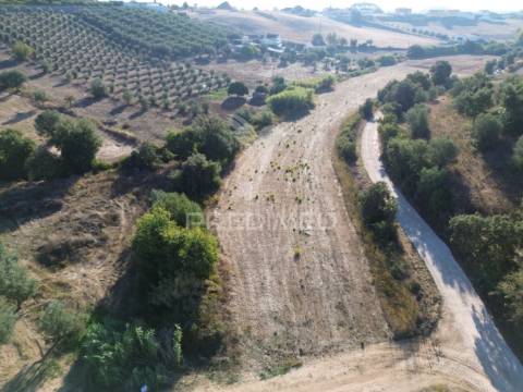 Terreno rústico em nabais – santarém | 10.880 m²