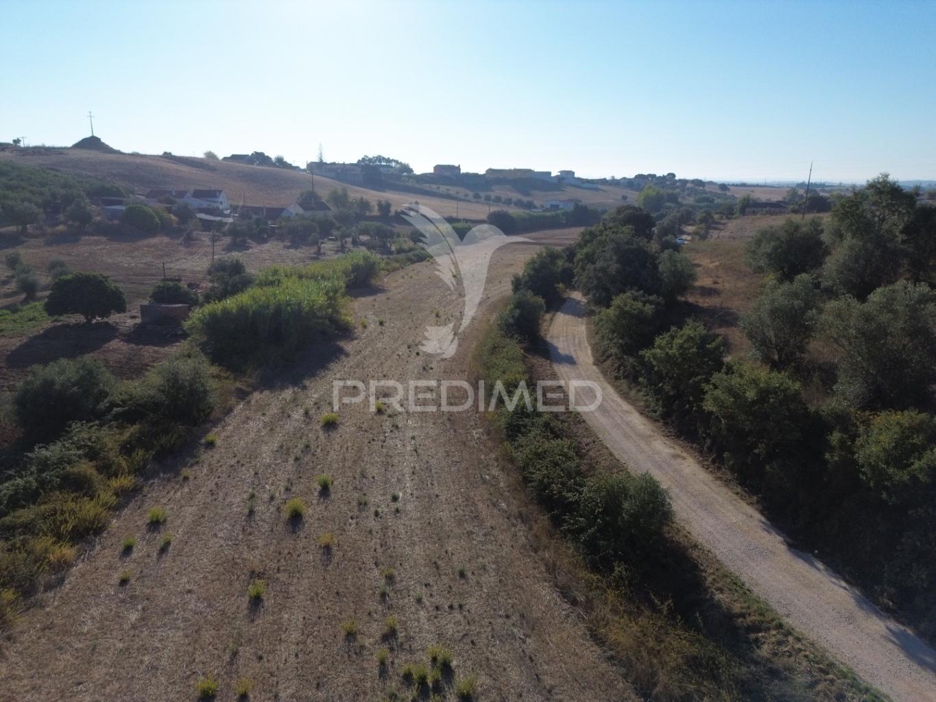 Terreno rústico em nabais – santarém | 10.880 m²