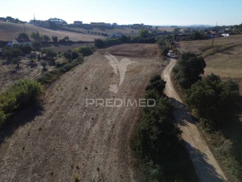 Terreno rústico em nabais – santarém | 10.880 m²