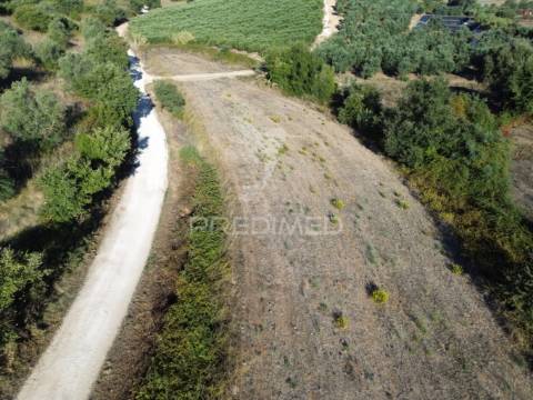 Terreno rústico em nabais – santarém | 10.880 m²