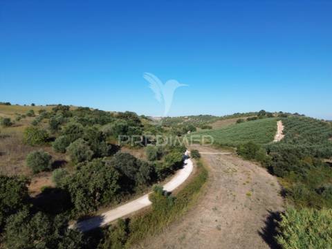 Terreno rústico em nabais – santarém | 10.880 m²