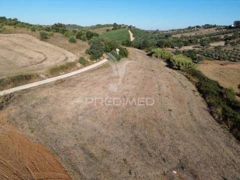 Terreno rústico em nabais – santarém | 10.880 m²