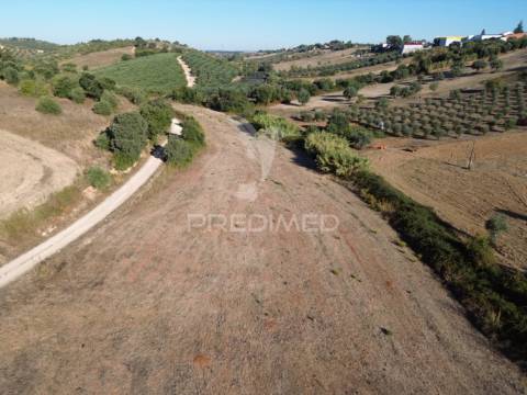 Terreno rústico em nabais – santarém | 10.880 m²