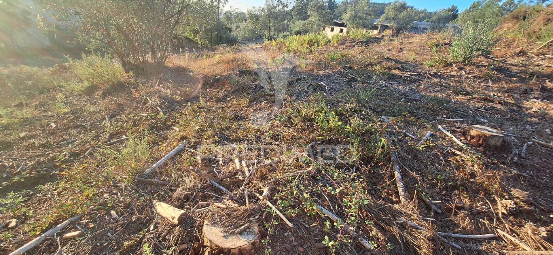 Terreno rústico com 6.400 m² – matas, caranguejeira