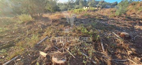Terreno rústico com 6.400 m² – matas, caranguejeira