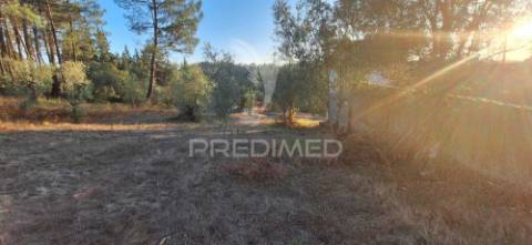 Terreno rústico com 6.400 m² – matas, caranguejeira