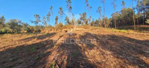 Terreno rústico com 6.400 m² – matas, caranguejeira