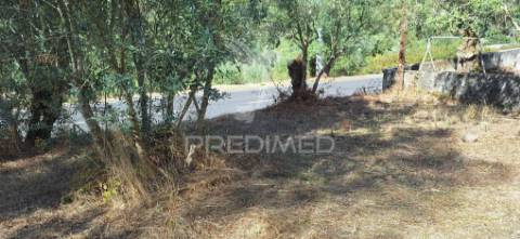 Terreno rústico com 6.400 m² – matas, caranguejeira