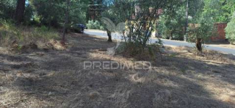 Terreno rústico com 6.400 m² – matas, caranguejeira