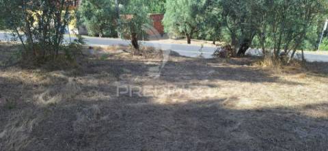 Terreno rústico com 6.400 m² – matas, caranguejeira